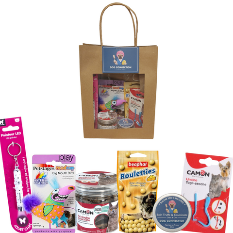 Coffret pour Chat