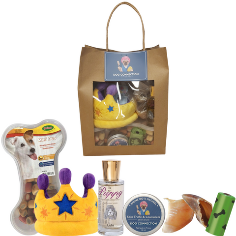Coffret pour Chien Maxi