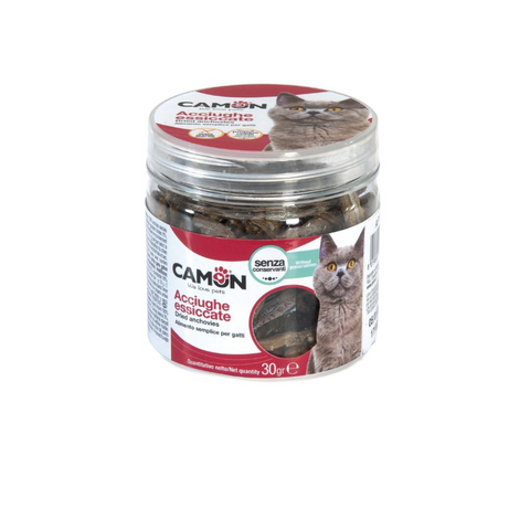 Coffret pour Chat