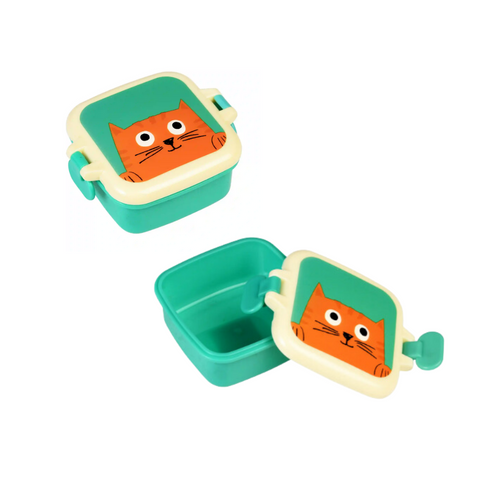 Coffret Univers Chat