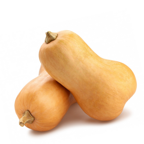 Butternut