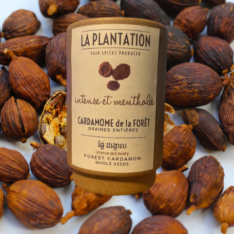 Cardamome de la Forêt