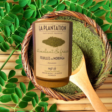 Feuilles de Moringa